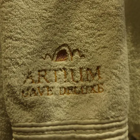 Hotel Artium Cave